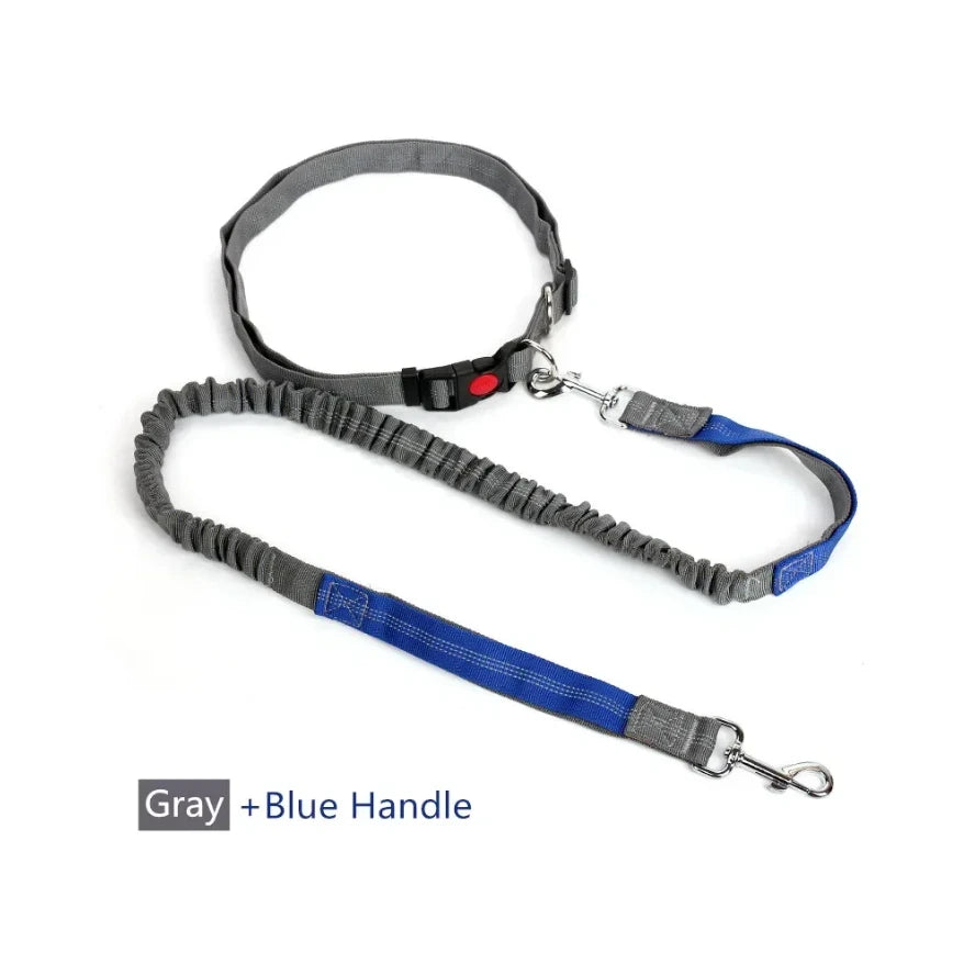 Retractable Dog Leash with Adjustable Waist Rope Hand Free Running Jogging Cycling Big Dogs Pet Elasticity Lead Pet Supplies