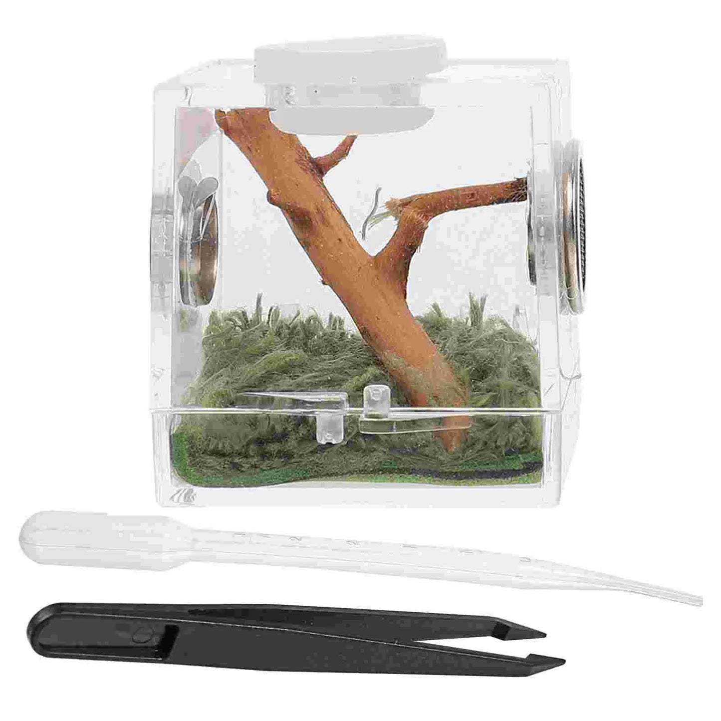2 Set Acrylic Terrarium Container Jumping Spider Habitat Box Reptile Insect Enclosure Pet Landscape Snail Beetle Spiderling