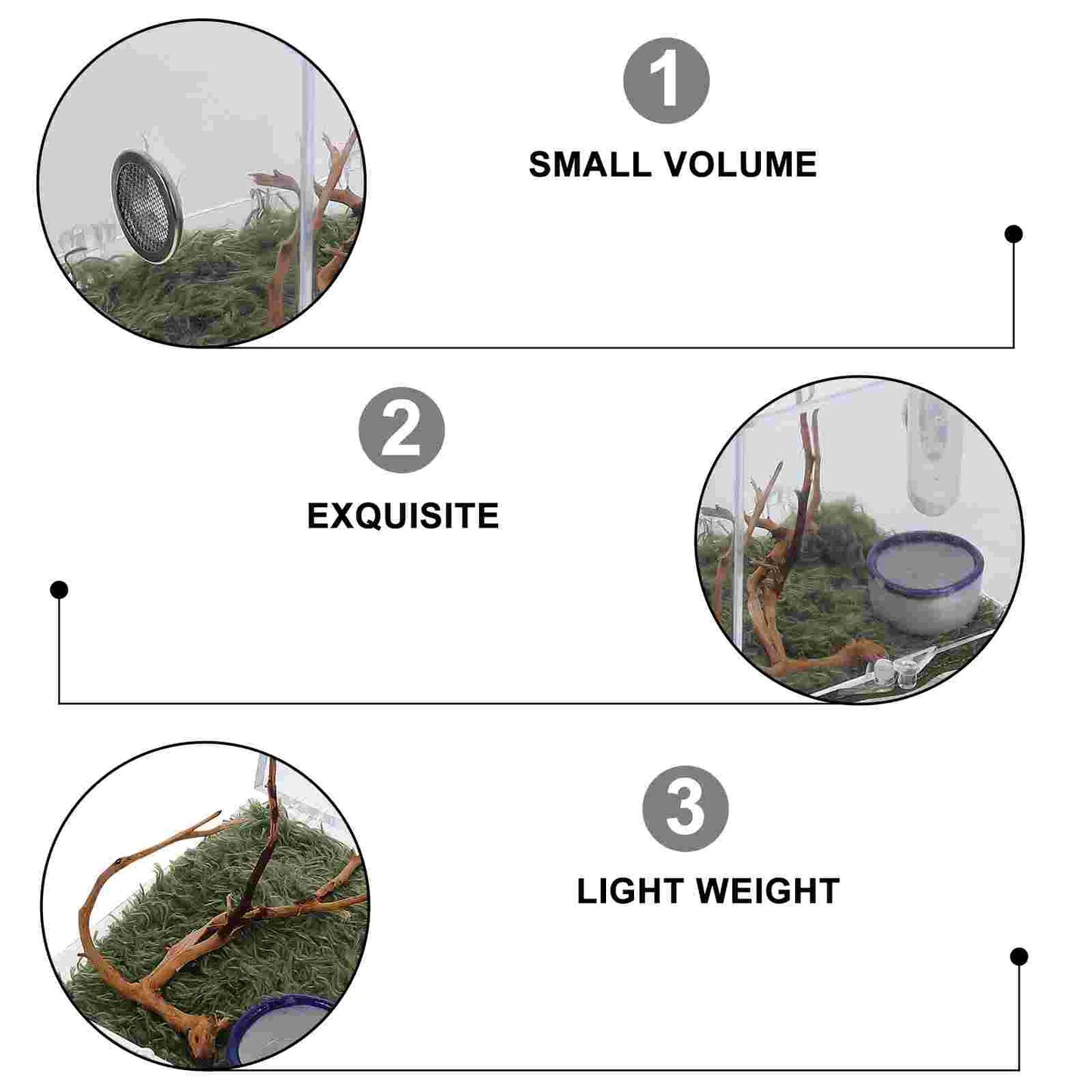 2 Set Acrylic Terrarium Container Jumping Spider Habitat Box Reptile Insect Enclosure Pet Landscape Snail Beetle Spiderling