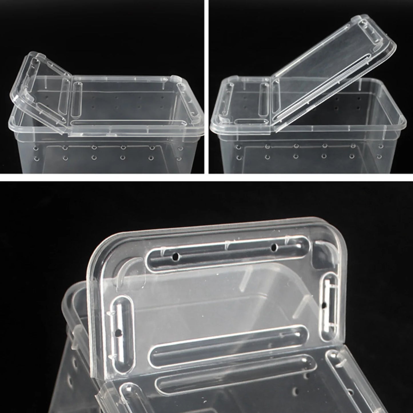 1Pc Insect Reptile Breeding Feeding Box Spider Terrariums Insect Rearing Hatching Containers Lizard Frog Small Animals Supplies