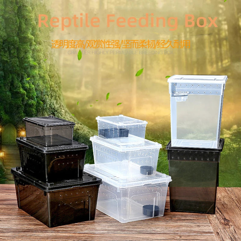 1Pc Insect Reptile Breeding Feeding Box Spider Terrariums Insect Rearing Hatching Containers Lizard Frog Small Animals Supplies
