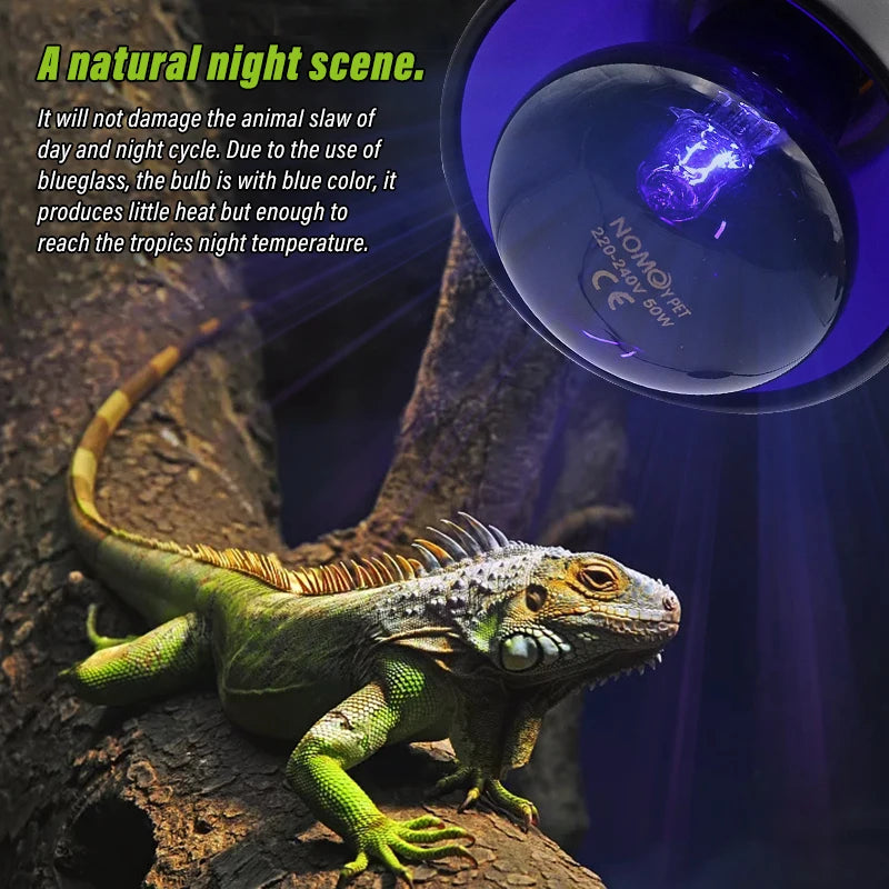 Pet Heating Lamp E27 Night Lamp for Amphibian Snake Lamp Heat Reptile Bulb UV Light 100W AC220-240V