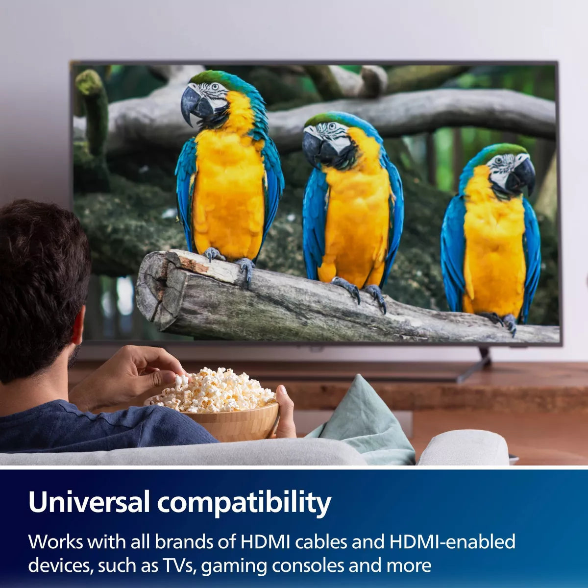 Philips 8K HDMI 2-Port Switch in Silver