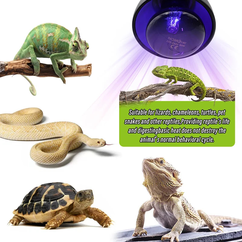 Pet Heating Lamp E27 Night Lamp for Amphibian Snake Lamp Heat Reptile Bulb UV Light 100W AC220-240V