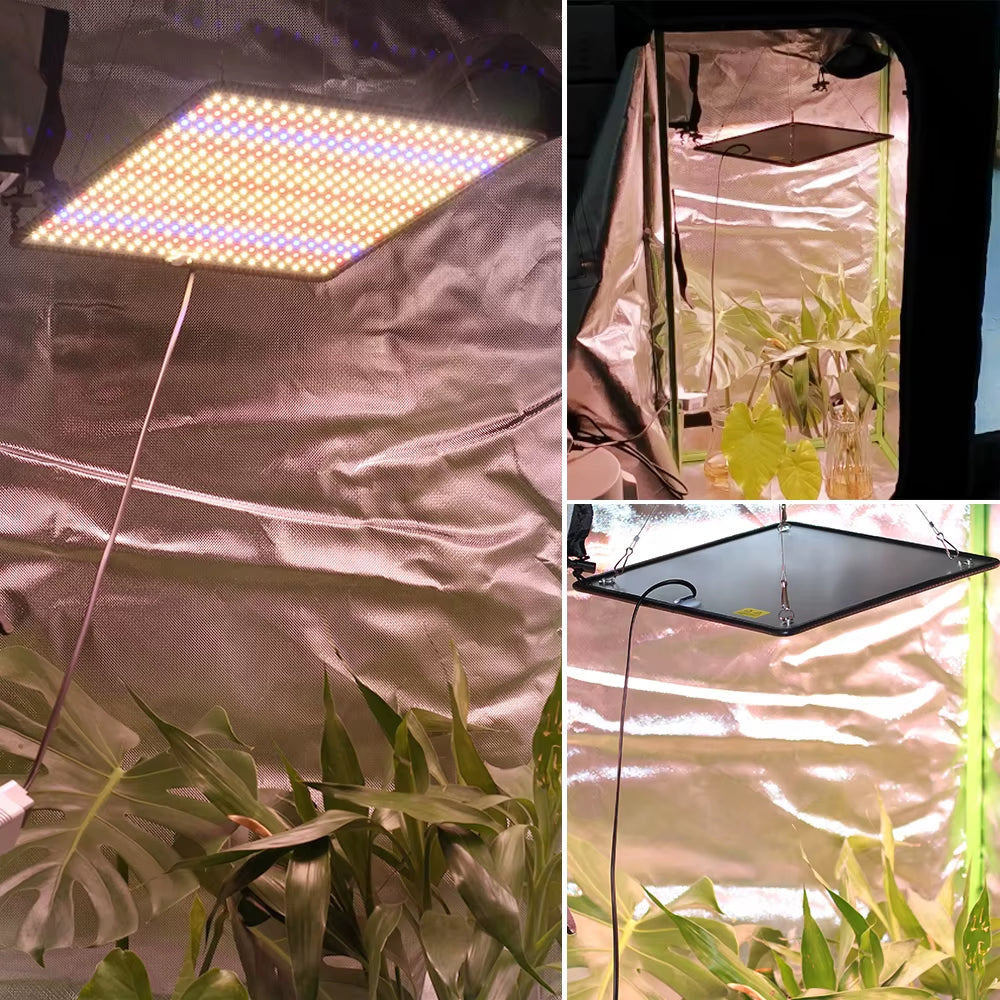 LED Grow Light Full Spectrum Phyto Lamp AC85-240V 40W for Indoor Grow Tent Plants Growth Light
