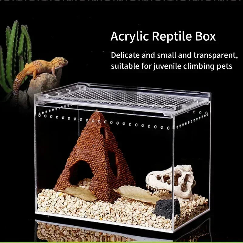 Transparent Acrylic Reptile Breeding Box Spider Lizard Amphibian Terrarium Leak-Proof Pet Habitat Arboreal Tarantula Enclosure