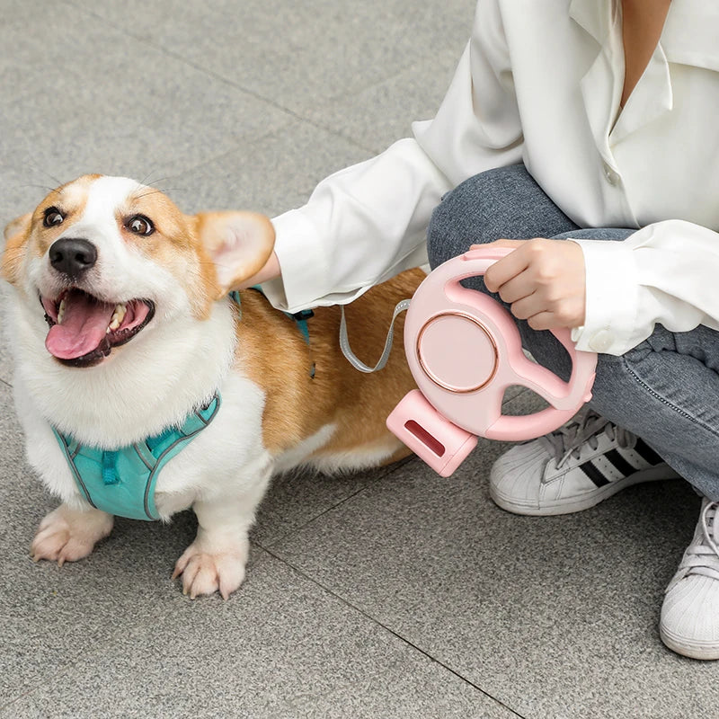 3M Retractable Dog Leash with LED Light, 500Mah USB Rechargeable, Anti-Pull & Night Safety Walking Lead for Pet