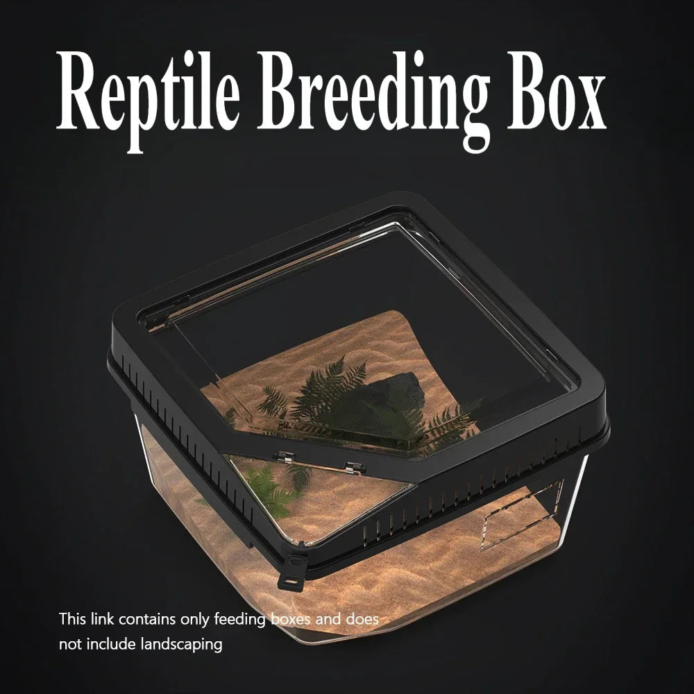 Reptile Habitat Terrarium Breeding Box Transparent Acrylic Anti-Escape Feeding Box with Thermometer for Lizard Scorpion Spider