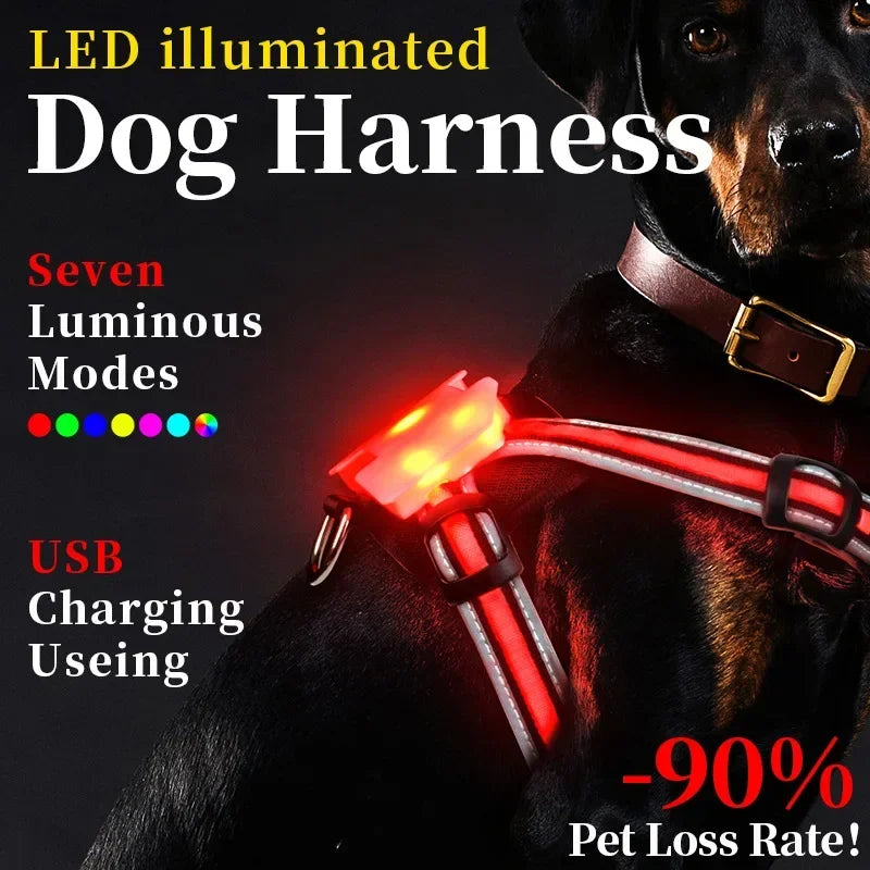 Illuminate Your Dog's Walks with Our Adjustable LED Harness - Rechargeable, Waterproof, and Flashing Safety Gear for All Breeds!