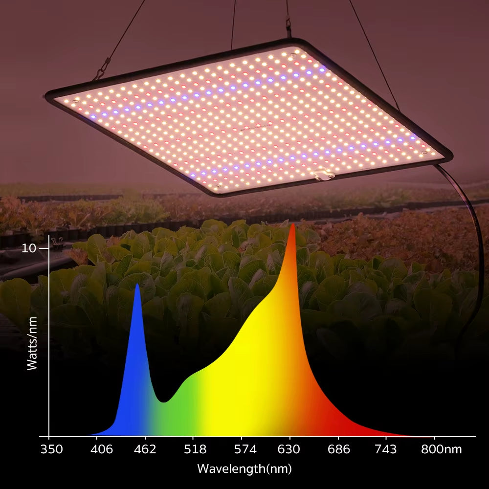 LED Grow Light Full Spectrum Phyto Lamp AC85-240V 40W for Indoor Grow Tent Plants Growth Light