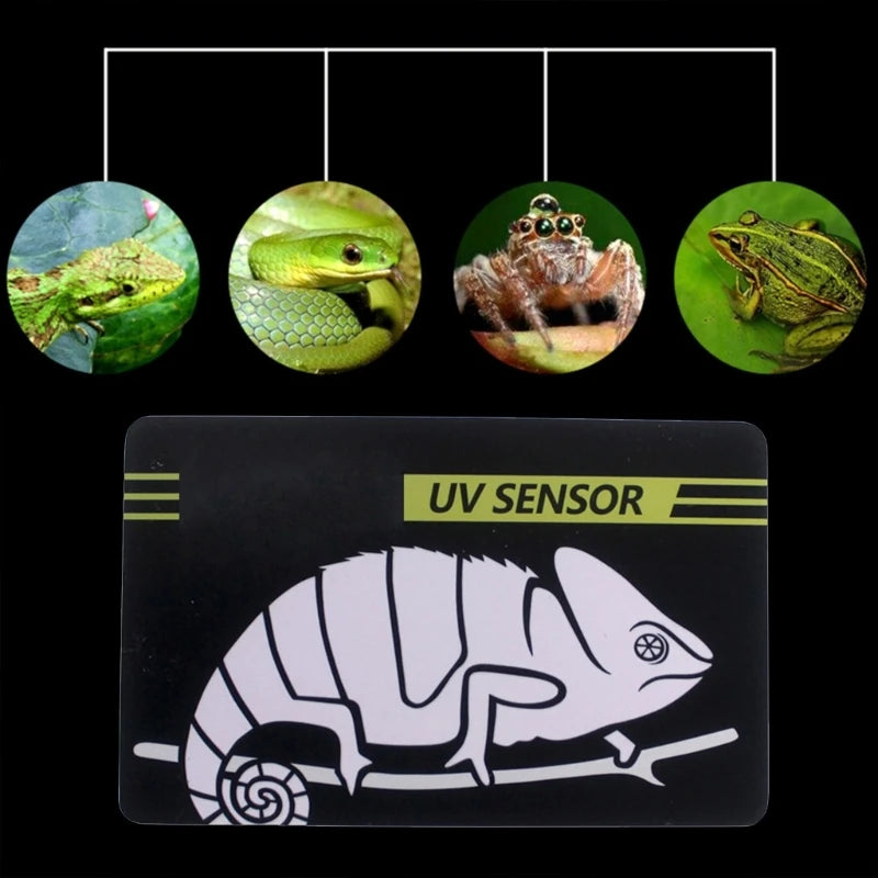 Reptile UVB Light Lamp Bulb Test Card UV Tests Paper Reptiles Terrarium Lamp Life Effective Tester Meter Pet Supplies
