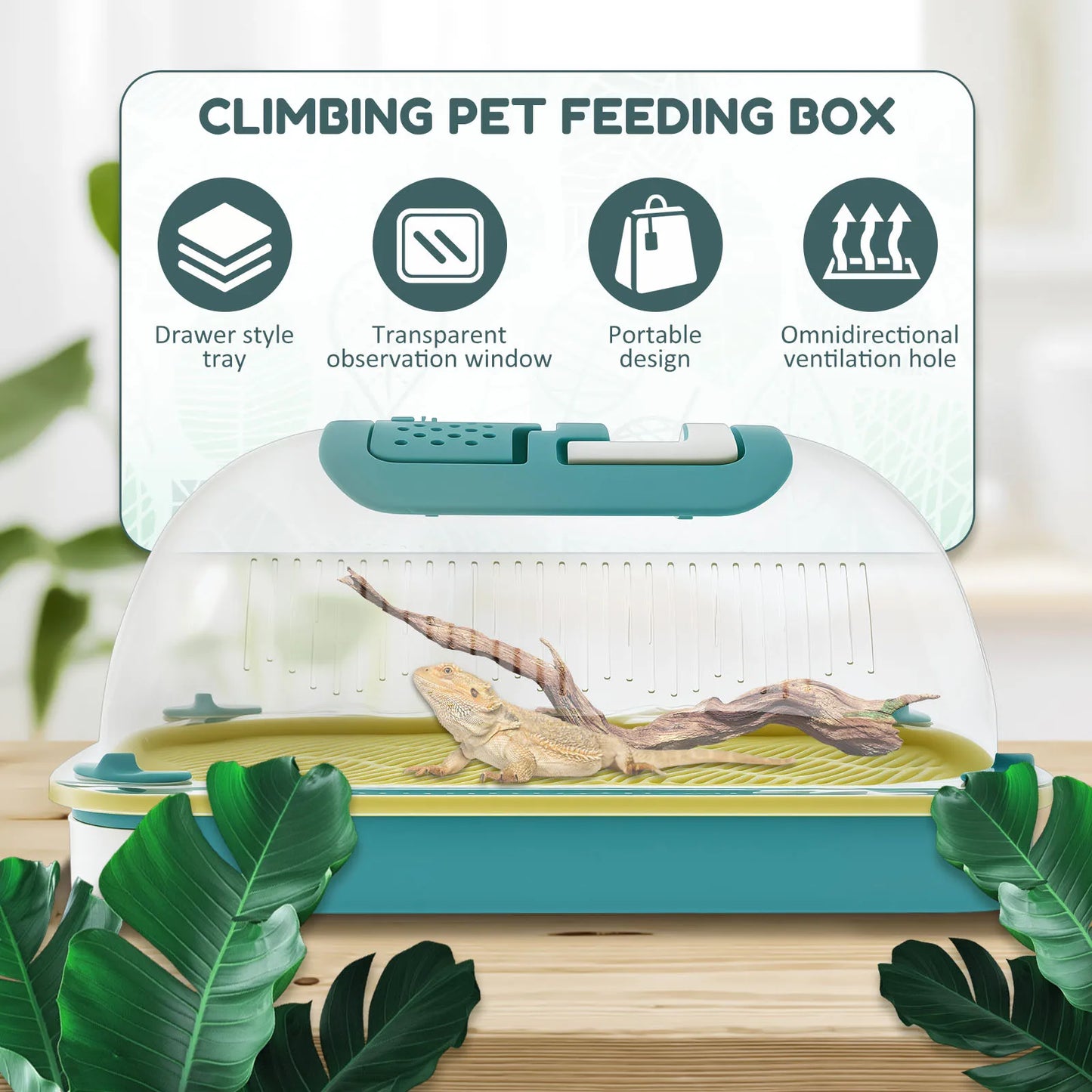 Clear Reptile Kennel Feeding Box Lizard Kennel Insect Snail Spider Breeding Box Turtle Terrarium Reptiles Gecko Lizard Supplies