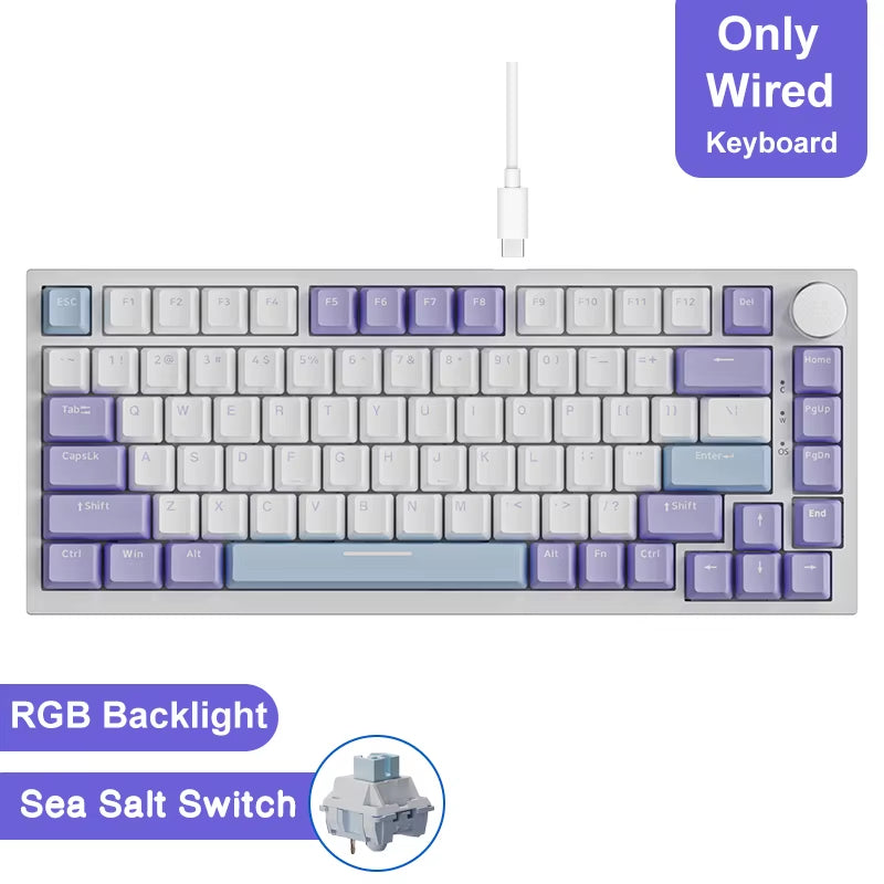 Ak820/Ak820Pro Gaming Mechanical Keyboard Bluetooth 5.1/Wireless/C-Wired Customized Keyboard with Knob Hot Swapping Gasket