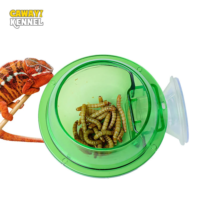 Arboreal Reptile Live Anti-Escape Sucker Feeder Chameleon Food Basin Wall Double Layer Plastic Bowls for Small Animals D9210