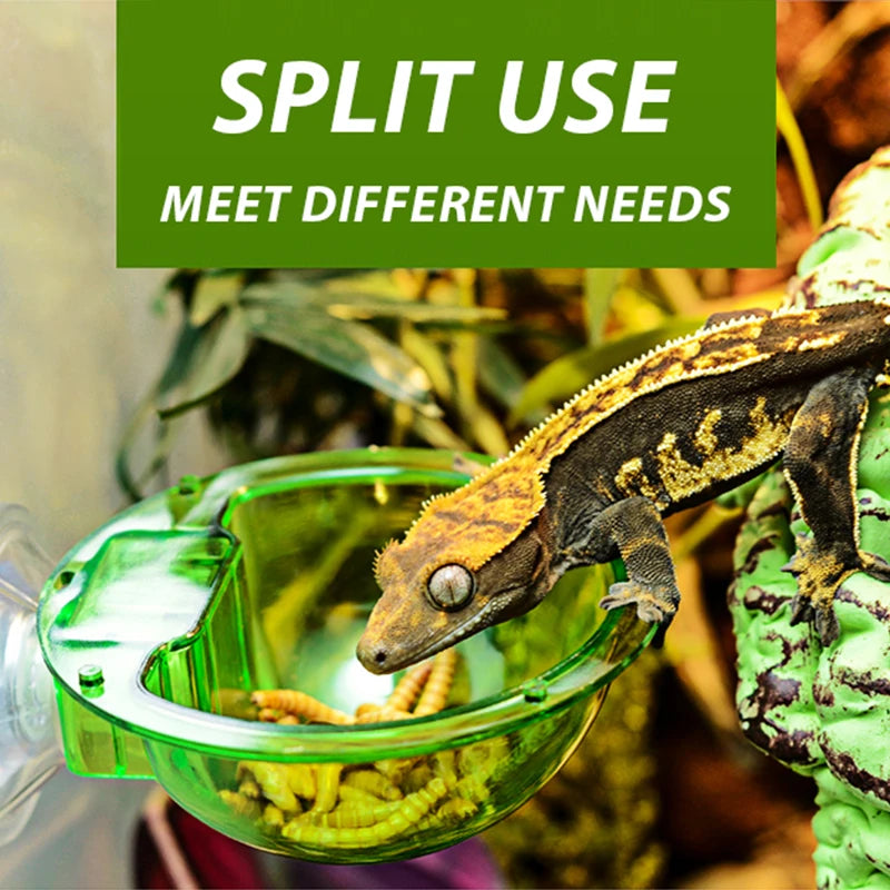Arboreal Reptile Live Anti-Escape Sucker Feeder Chameleon Food Basin Wall Double Layer Plastic Bowls for Small Animals D9210
