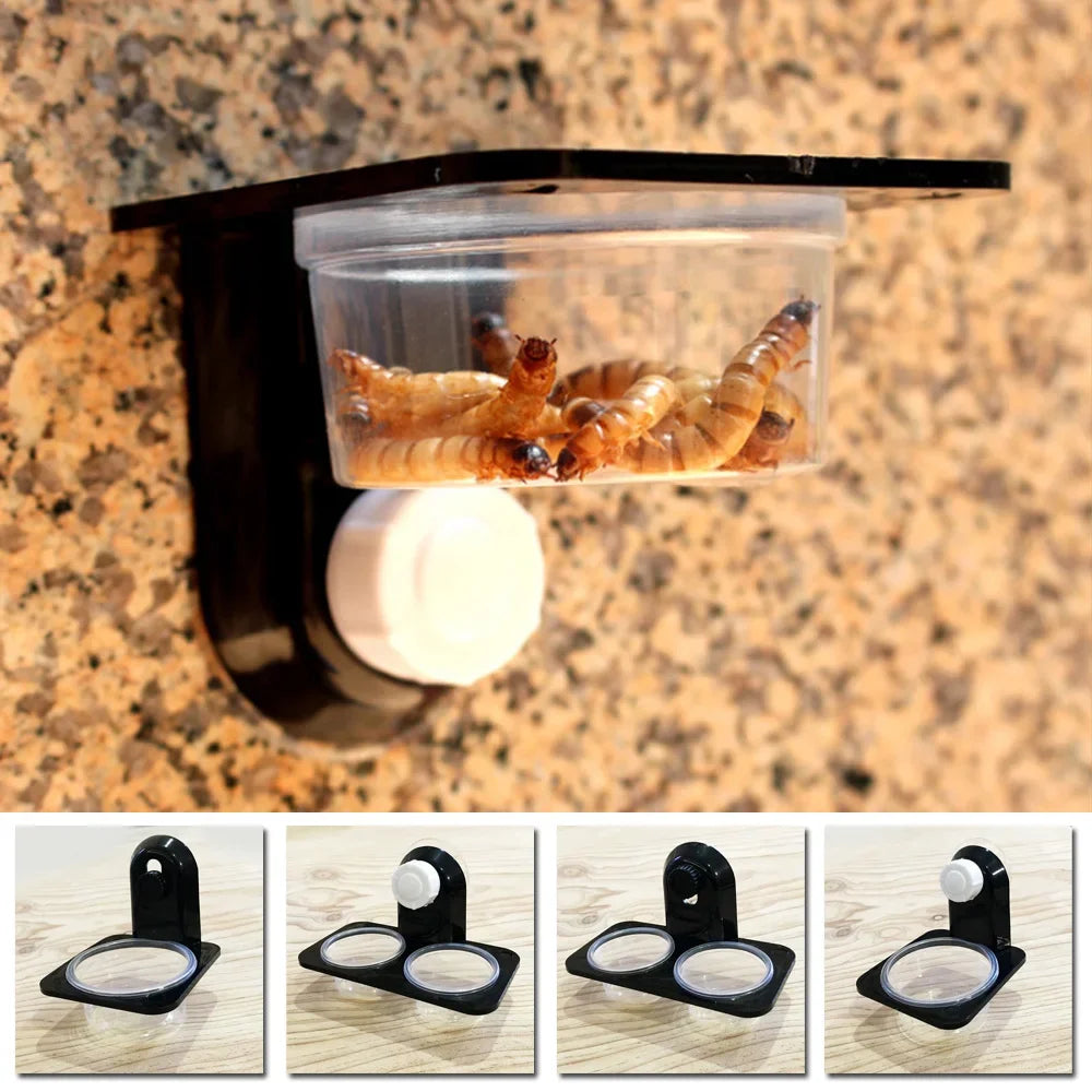 1Pcs Reptile Tank Insect Spider Ants Nest Snake Gecko Food Water Feeding Bowl Breeding Feeders Box Pets Supplies