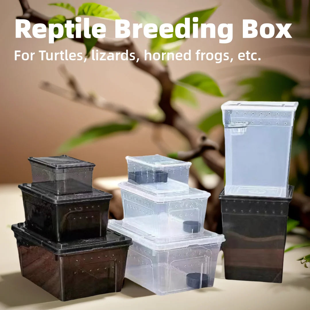 1Pc Insect Reptile Breeding Feeding Box Spider Terrariums Insect Rearing Hatching Containers Lizard Frog Small Animals Supplies