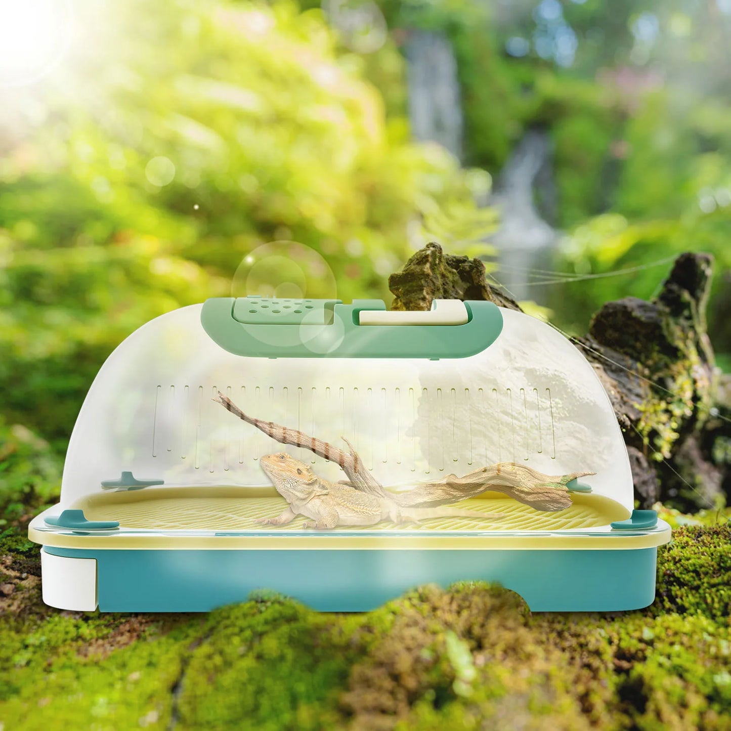 Clear Reptile Kennel Feeding Box Lizard Kennel Insect Snail Spider Breeding Box Turtle Terrarium Reptiles Gecko Lizard Supplies