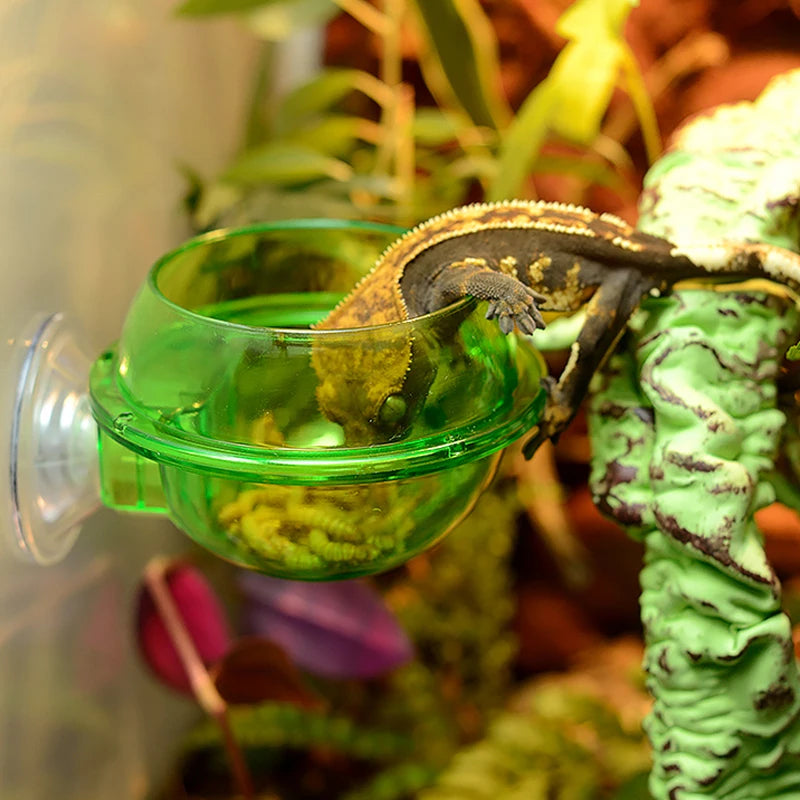 Arboreal Reptile Live Anti-Escape Sucker Feeder Chameleon Food Basin Wall Double Layer Plastic Bowls for Small Animals D9210