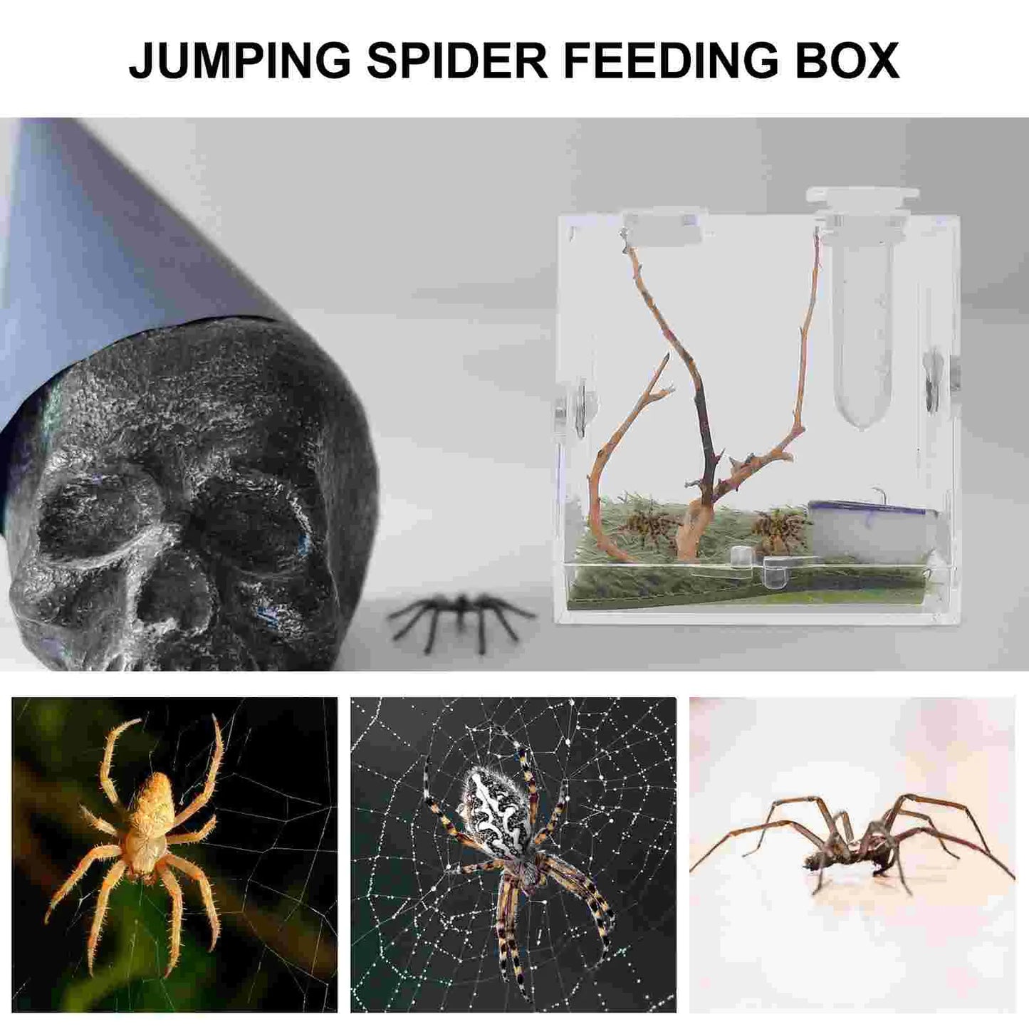 2 Set Acrylic Terrarium Container Jumping Spider Habitat Box Reptile Insect Enclosure Pet Landscape Snail Beetle Spiderling