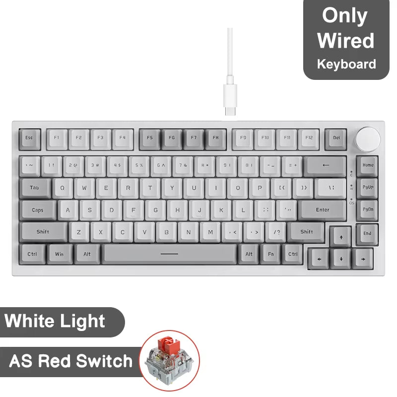 Ak820/Ak820Pro Gaming Mechanical Keyboard Bluetooth 5.1/Wireless/C-Wired Customized Keyboard with Knob Hot Swapping Gasket