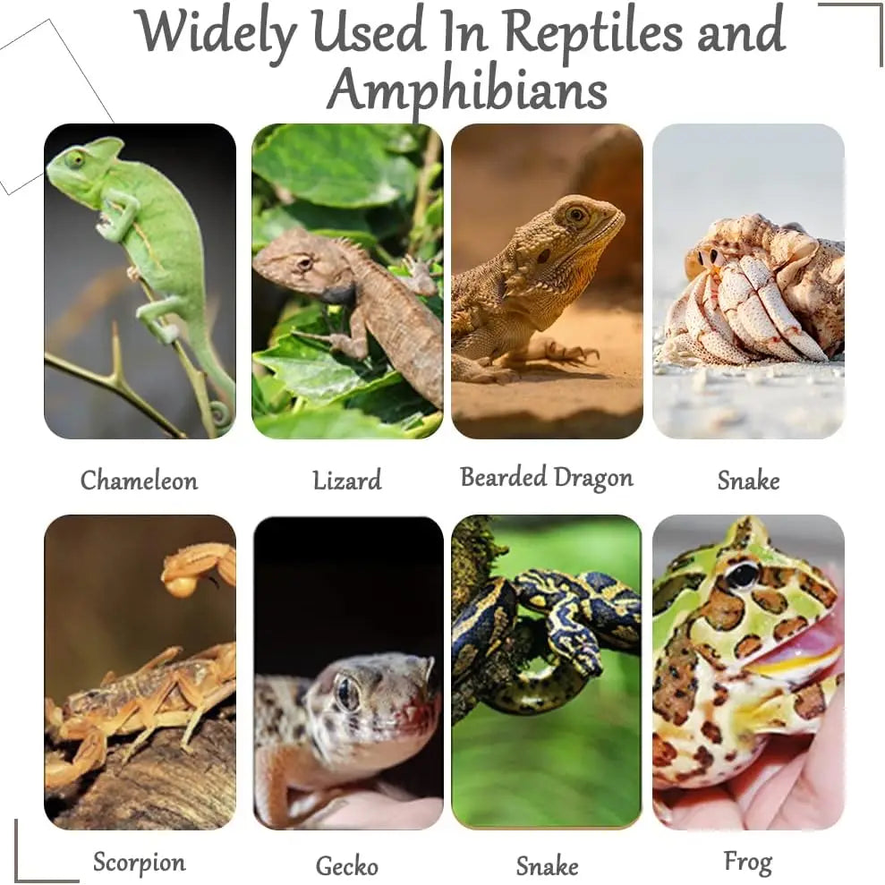Flexible Plastic Leaves Hanging for Reptile Plants,Bendable Jungle Climbing Vine,Pet Terrarium Decor,Bearded Lizard Gecko Frog