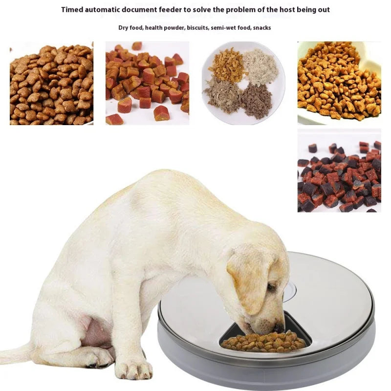 6-Cell Smart Pet Feeder - Bpa-Free Dual Gear System & Mood Music, 24H Timer with Anti-Jam Design for Cats/Dogs, Easy Clean
