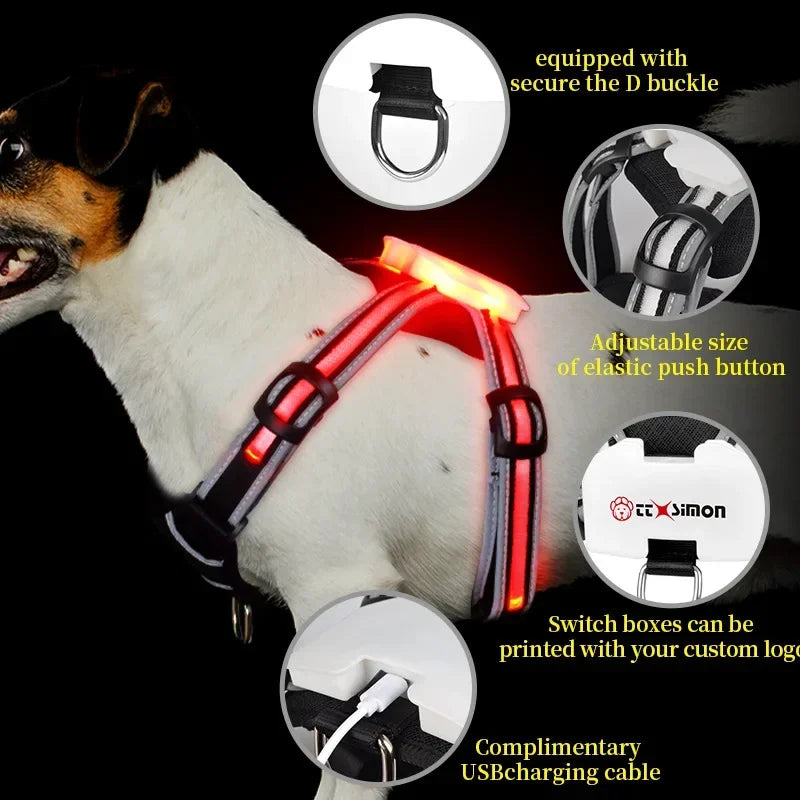 Illuminate Your Dog's Walks with Our Adjustable LED Harness - Rechargeable, Waterproof, and Flashing Safety Gear for All Breeds!
