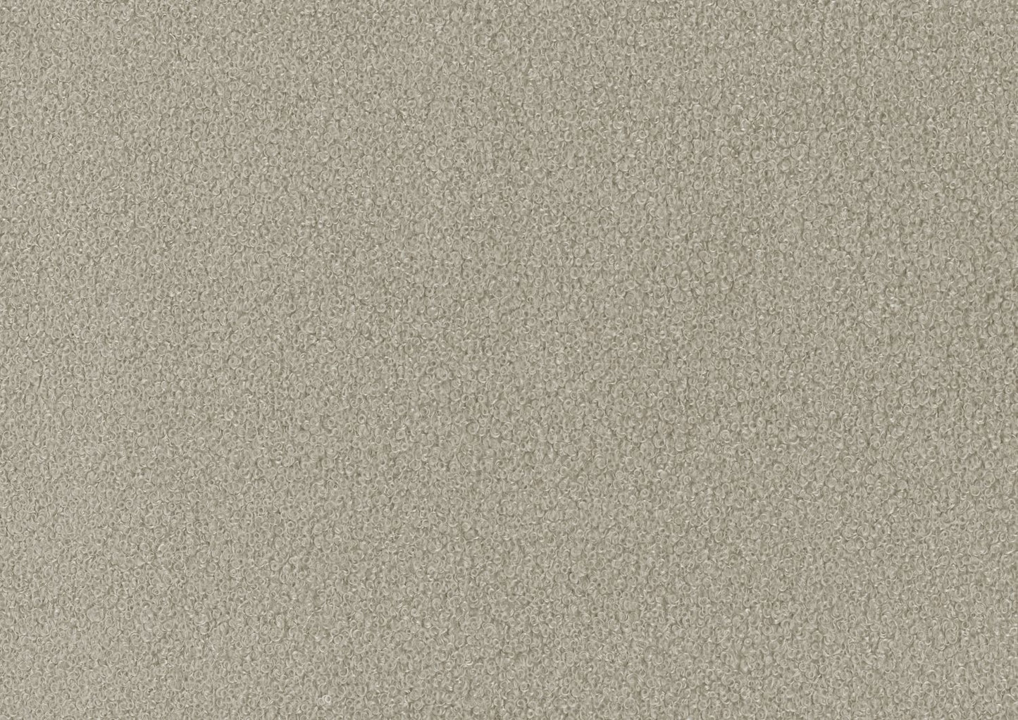 528859021