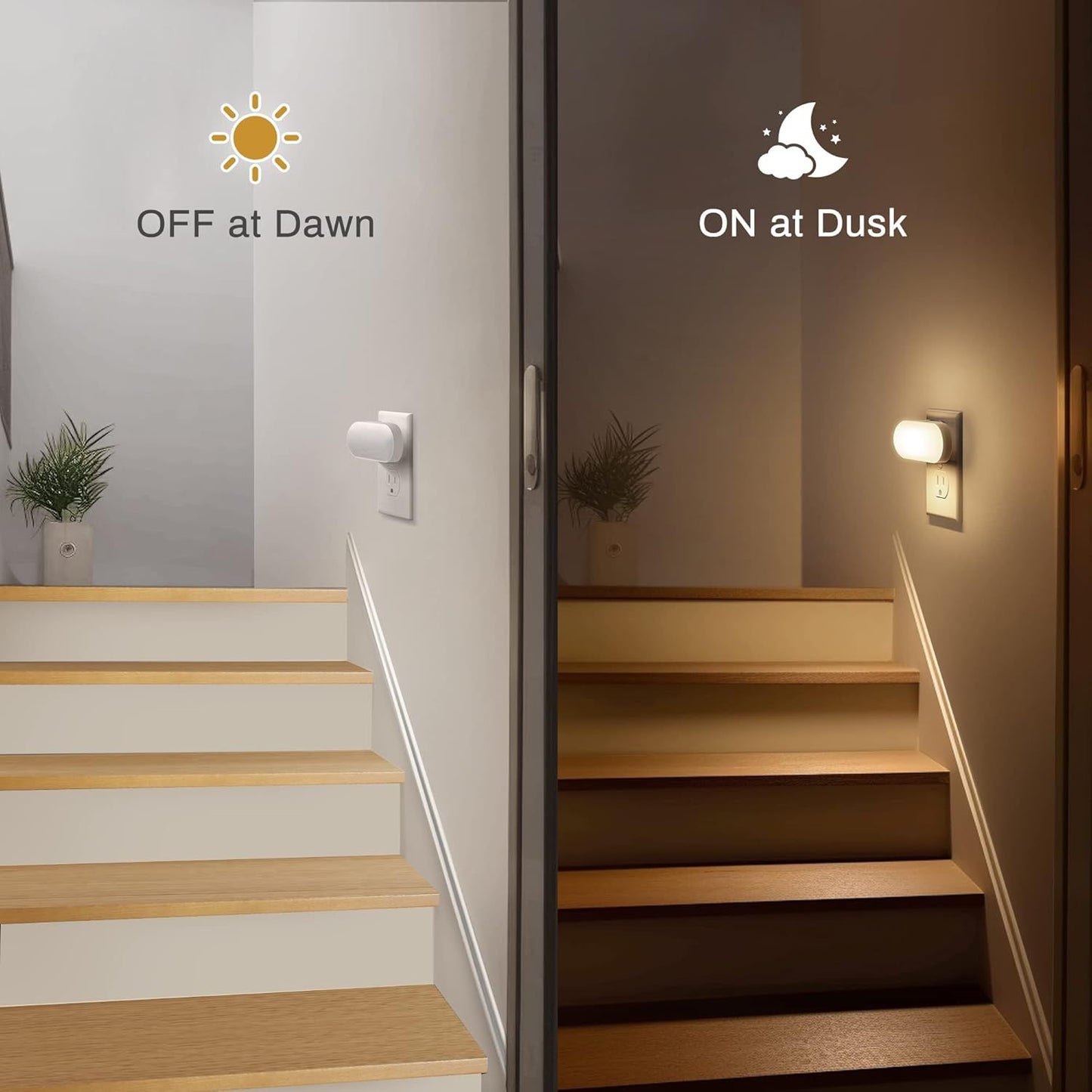 556423501