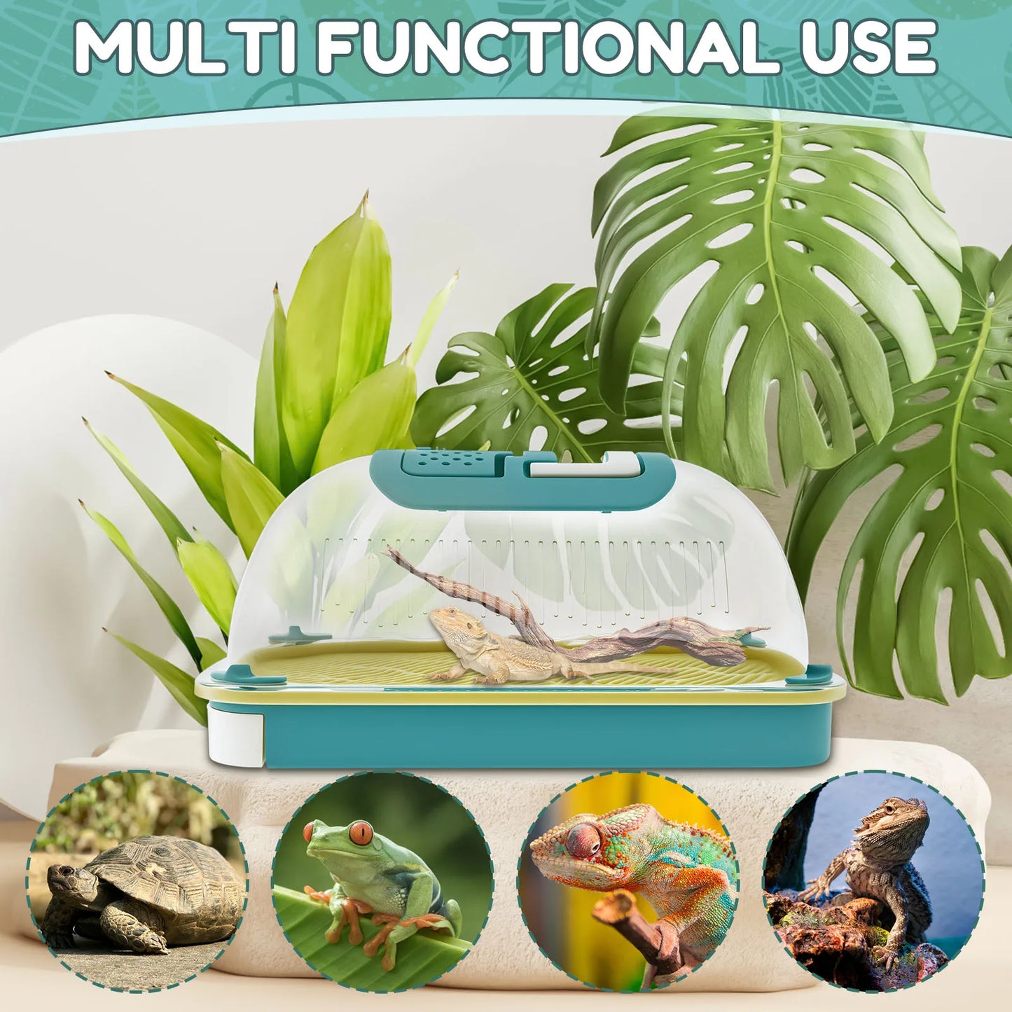 Clear Reptile Kennel Feeding Box Lizard Kennel Insect Snail Spider Breeding Box Turtle Terrarium Reptiles Gecko Lizard Supplies