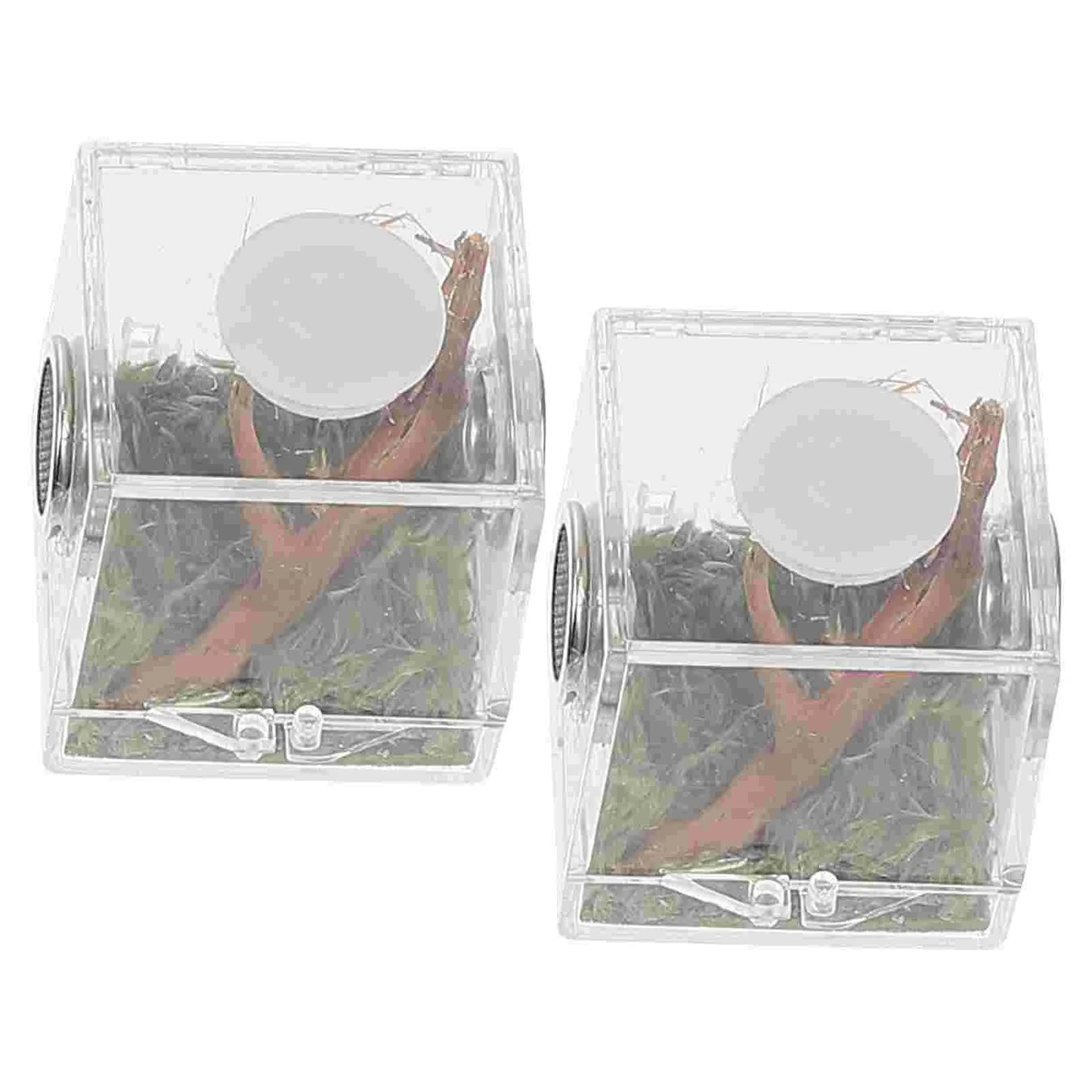 2 Set Acrylic Terrarium Container Jumping Spider Habitat Box Reptile Insect Enclosure Pet Landscape Snail Beetle Spiderling