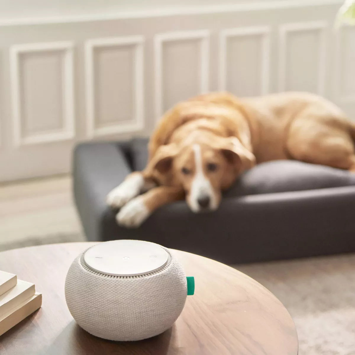 Snooz White Noise Sound Machine