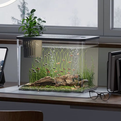 PET+ABS Fish Tank New Transparent with Lid Aquarium Drop Resistant Hydroponic Tank Turtle Tank Home