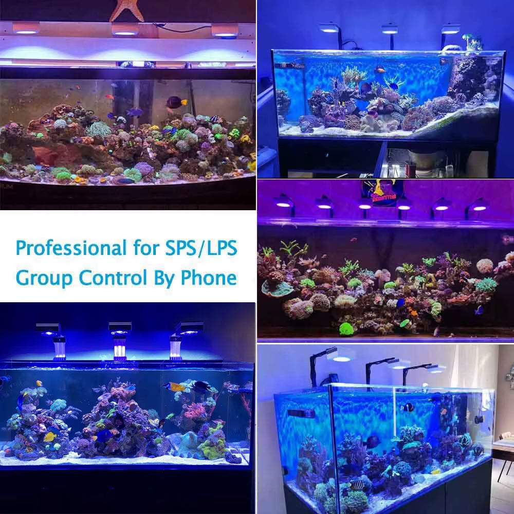 Popbloom RL90 Wifi Reef Aquarium Light 100W, Professional Marine Aquarium LED Full Spectrum for Reef Coral SPS/LPS Fish Tank LED