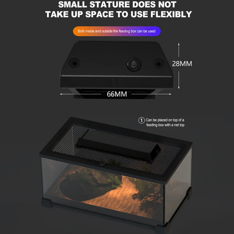 UVA+UVB Reptile Lamp Full Spectrum LED Light Lizard Supplies Turtle Sunbathe Heat Lamp Amphibians Supplement Calcium Light 4-12W