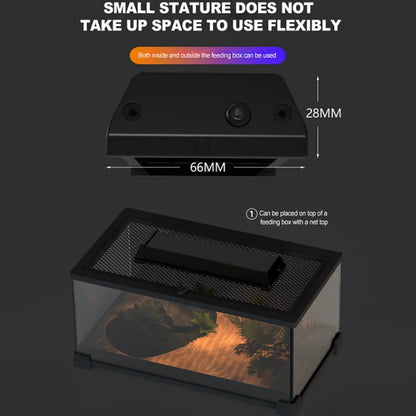 UVA+UVB Reptile Lamp Full Spectrum LED Light Lizard Supplies Turtle Sunbathe Heat Lamp Amphibians Supplement Calcium Light 4-12W