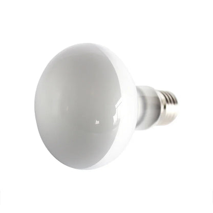 100W Solar Heating Lamp UVB Turtle Lizard Reptile Ultraviolet Light Bulb Amphibian Reptile Terrace Accessories Heating Supplies