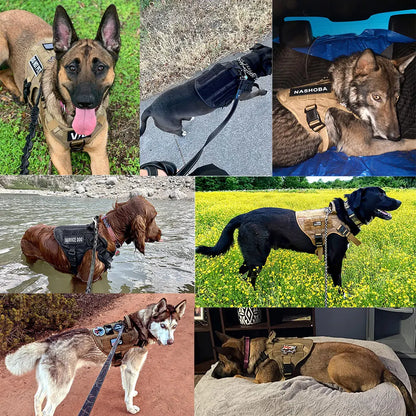 Large Dog Harness and Leash Set for German Shepherds and Malinois - Training and Walking Vest with Collar for Medium to Large Dogs