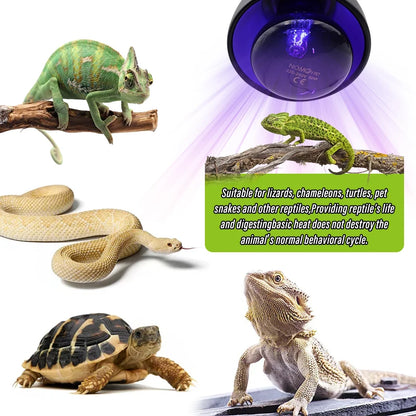 Pet Heating Lamp E27 Night Lamp for Amphibian Snake Lamp Heat Reptile Bulb UV Light 100W AC220-240V