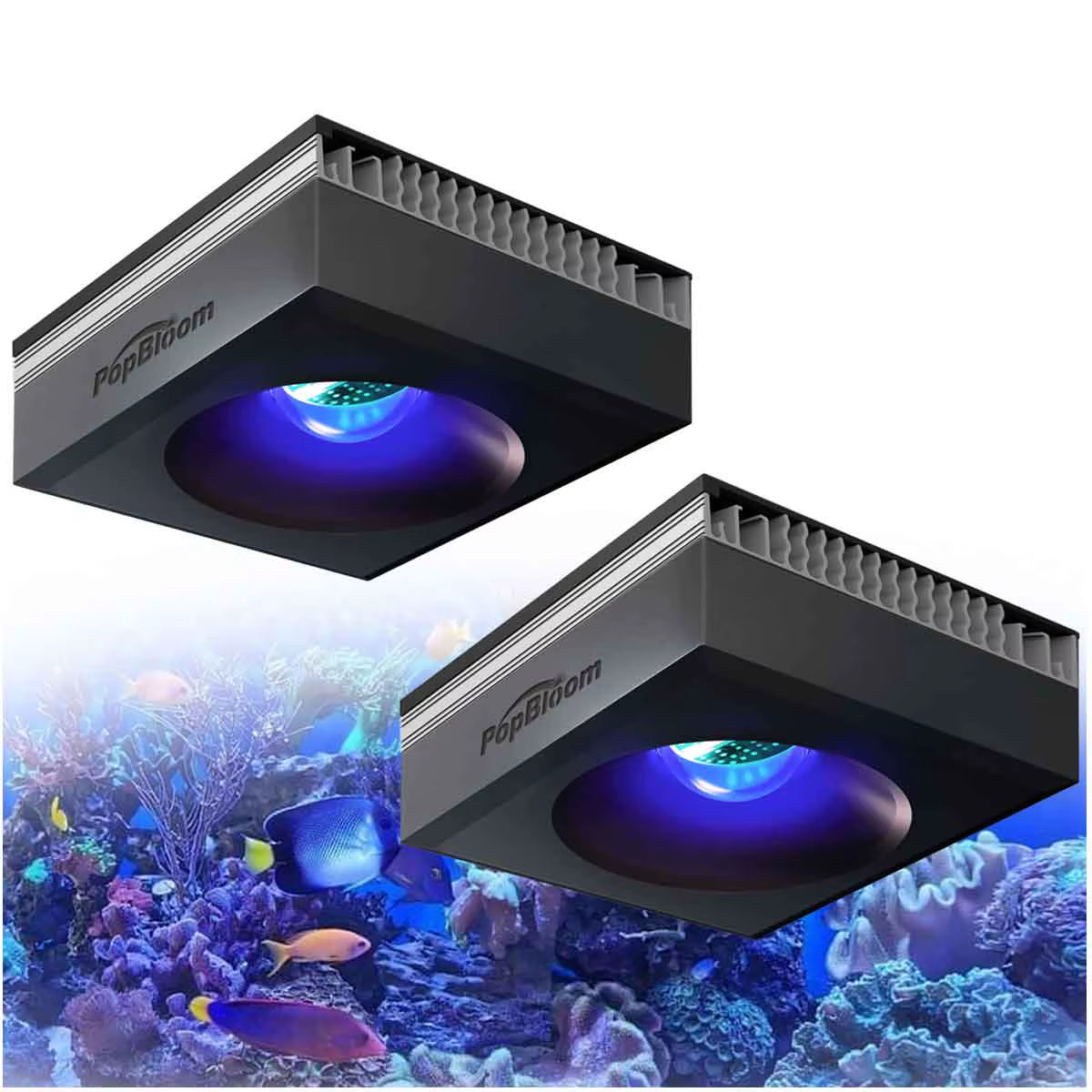 Popbloom RL90 Wifi Reef Aquarium Light 100W, Professional Marine Aquarium LED Full Spectrum for Reef Coral SPS/LPS Fish Tank LED