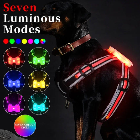 Illuminate Your Dog's Walks with Our Adjustable LED Harness - Rechargeable, Waterproof, and Flashing Safety Gear for All Breeds!
