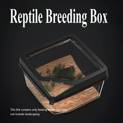Reptile Habitat Terrarium Breeding Box Transparent Acrylic Anti-Escape Feeding Box with Thermometer for Lizard Scorpion Spider