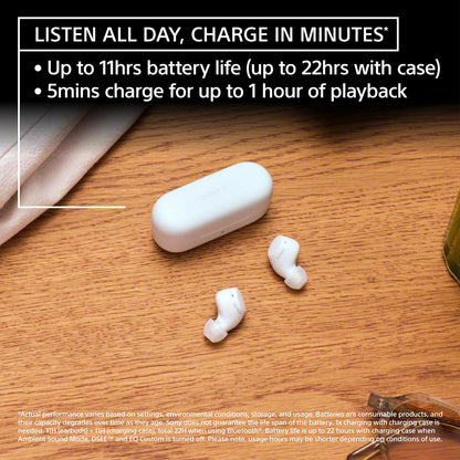 Sony WF-C510 Truly Wireless Earbuds with 22-Hour Battery, IPX4, Multipoint,Bla