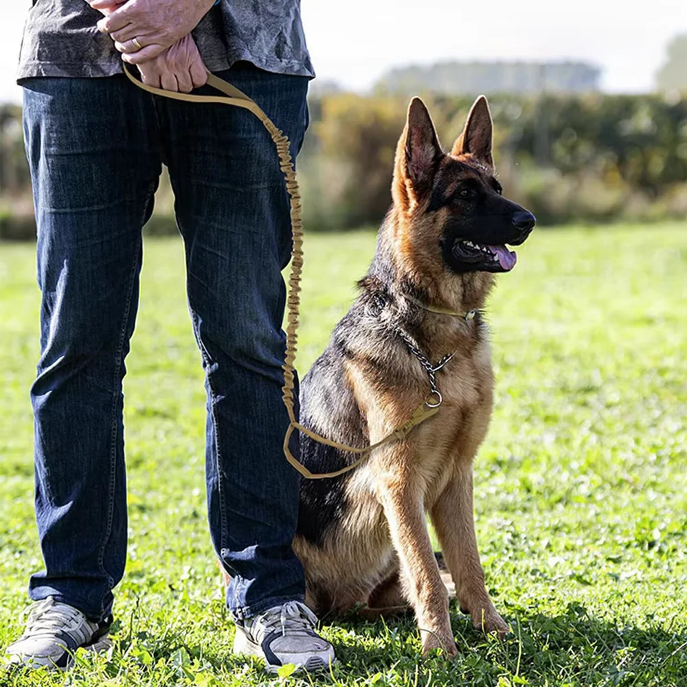 Adjustable Military Dog Leash with Quick Release Elastic Rope and Dual Control Handles for Medium and Small Dogs