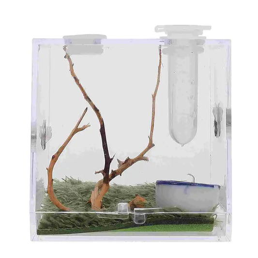 2 Set Acrylic Terrarium Container Jumping Spider Habitat Box Reptile Insect Enclosure Pet Landscape Snail Beetle Spiderling