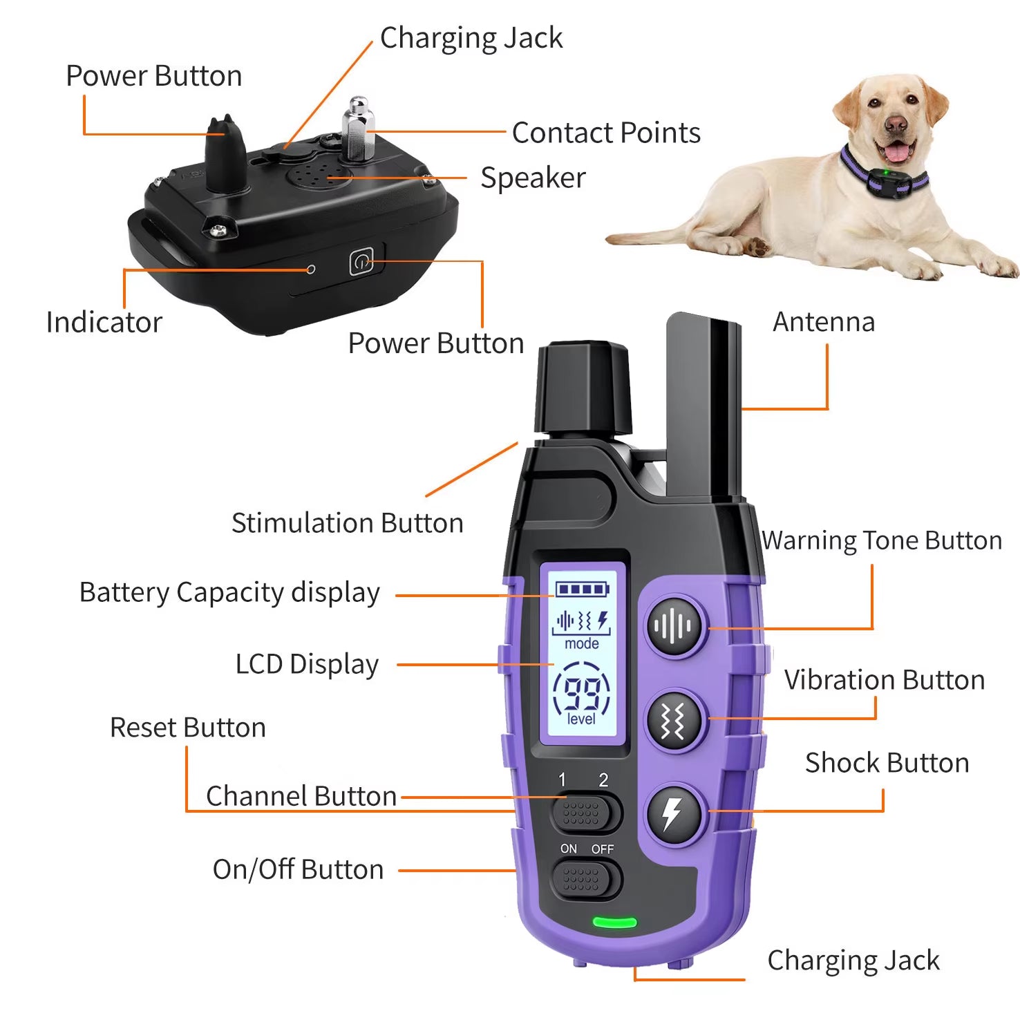 3300Ft Electric Dog Training Collar Remote Control Waterproof Pet Behaviorfor 5-120Lbs Puppy with Vibration Shock Beep