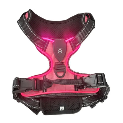 Illuminate Your Dog's Safety: Rechargeable LED Glowing Harness with Three Light Modes for Nighttime Walks