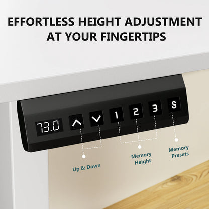 JHK 63x24 Inch Ergonomic Electric Height Adjustable Standing Desk for Office Workstation