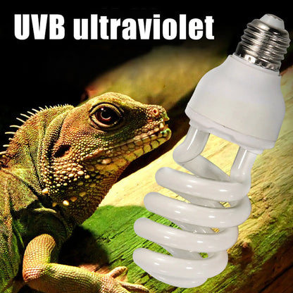 Reptile Heat Bulb Lamp Light High Intensity UVB Light Bulb for Reptiles Amphibian Use Household Breeding Chicken Heating Lamp